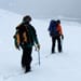 followingTheIce_x_149274